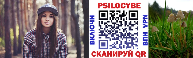 Псилоцибиновые грибы прущие грибы  Нальчик 