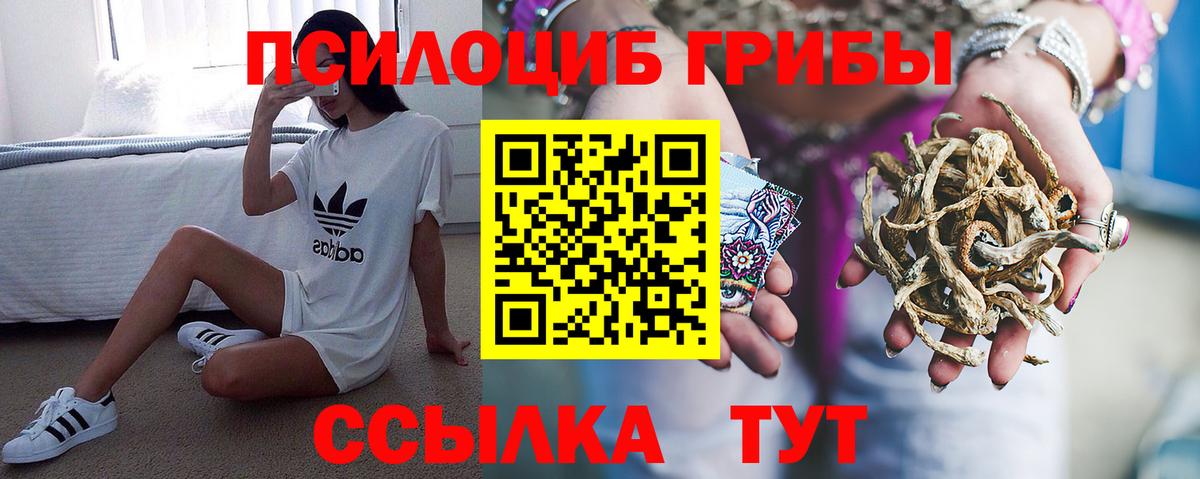 Нальчик  Псилоцибиновые грибы мухоморы  даркнет сайт  Псилоцибиновые грибы прущие грибы  Вход с VPN 